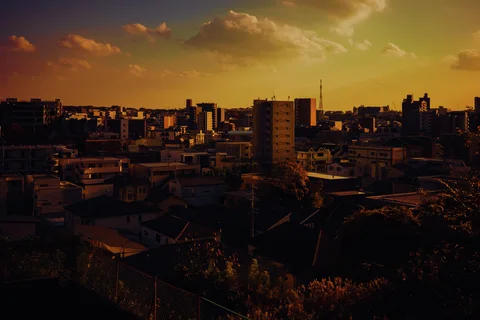 Low city rooftops and taller buildings sit beneath warm golden clouds with dark vegetation in the foreground.