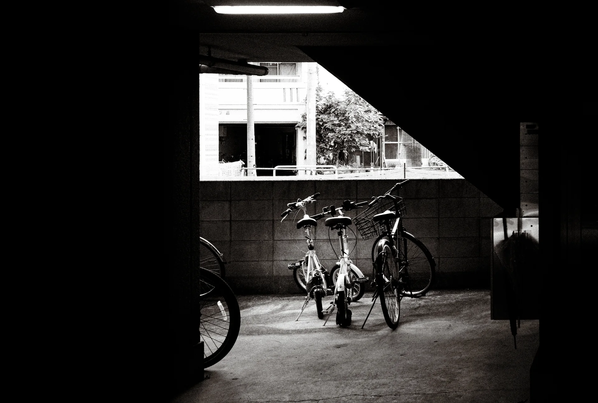 Bicycles stand within a dark covered passage illuminated by a triangular patch of daylight.