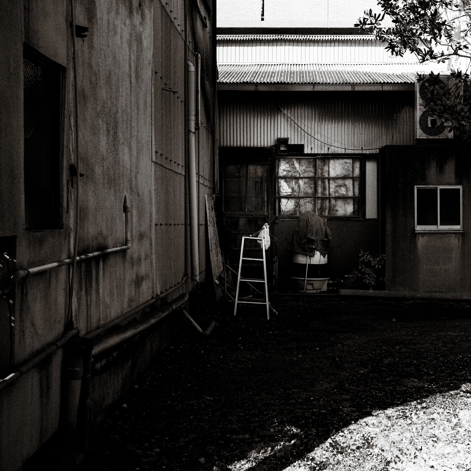 A ladder leans in a shadowy courtyard between weathered buildings in black and white.