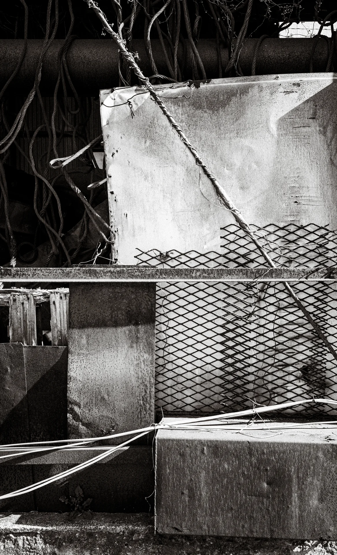 Metal mesh and pale rectangular panels sit beneath hanging vines and diagonal cables in monochrome.