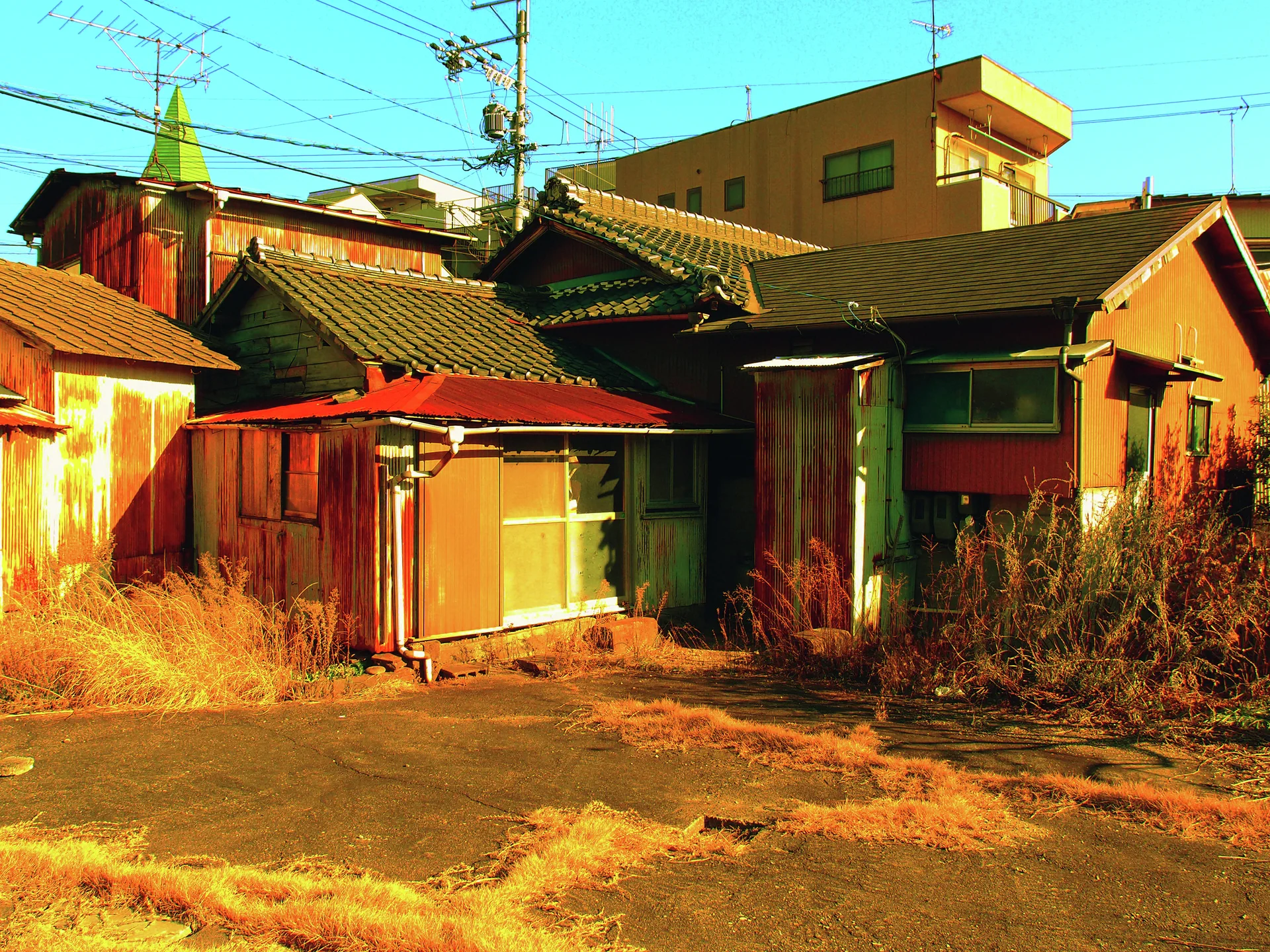 Dry grass surrounds old wooden buildings with layered tiled roofs beneath wires and a taller tan building.