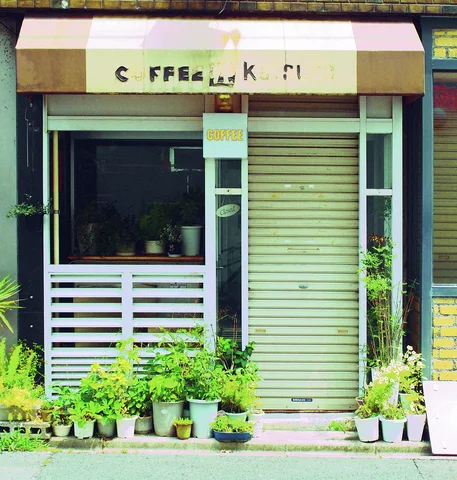 Small potted plants line a narrow storefront beneath a faded awning, beside a closed metal shutter.