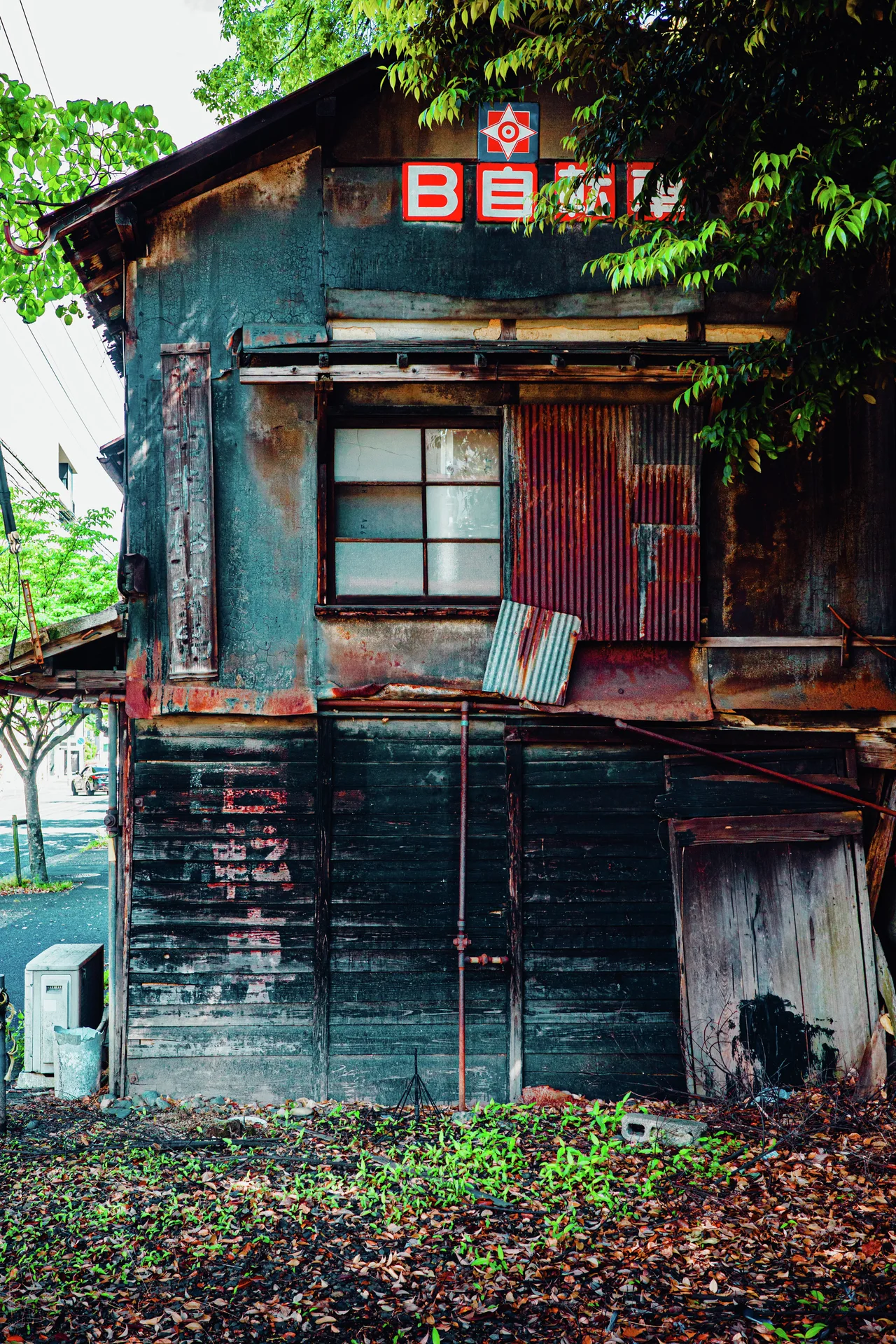 A small weathered wooden building with dark teal boards and a red sign stands beneath leafy branches.