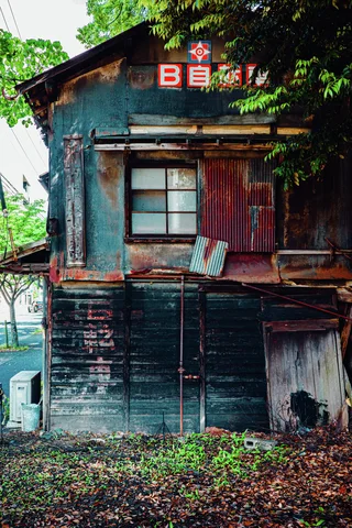 A small weathered wooden building with dark teal boards and a red sign stands beneath leafy branches.