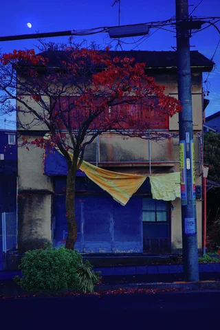 A red-leaved tree stands before a blue shutter and sagging pale storefront canopy.