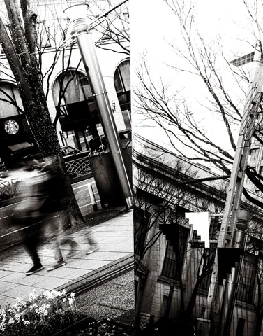 Mirrored panels fragment a street scene with a blurred cyclist and bare tree branches in black and white.