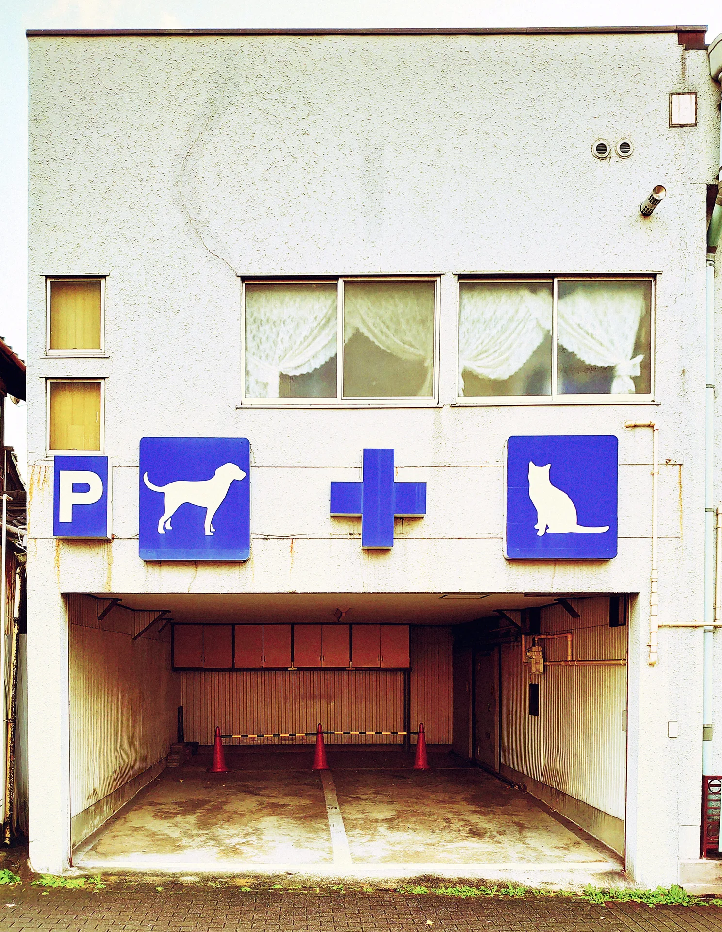 Blue dog and cat symbols flank a medical cross above an empty recessed garage entrance.