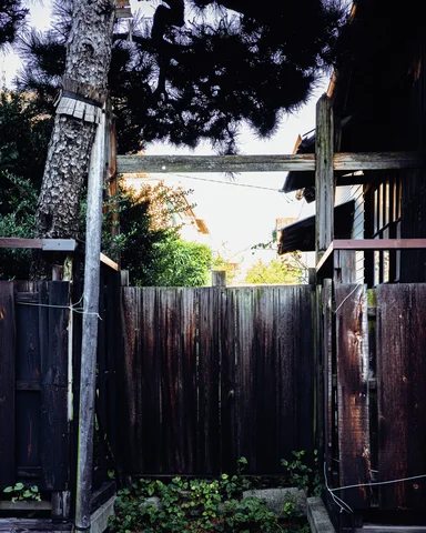 A tall weathered wooden fence blocks a narrow passage beneath trees and the edge of a building.