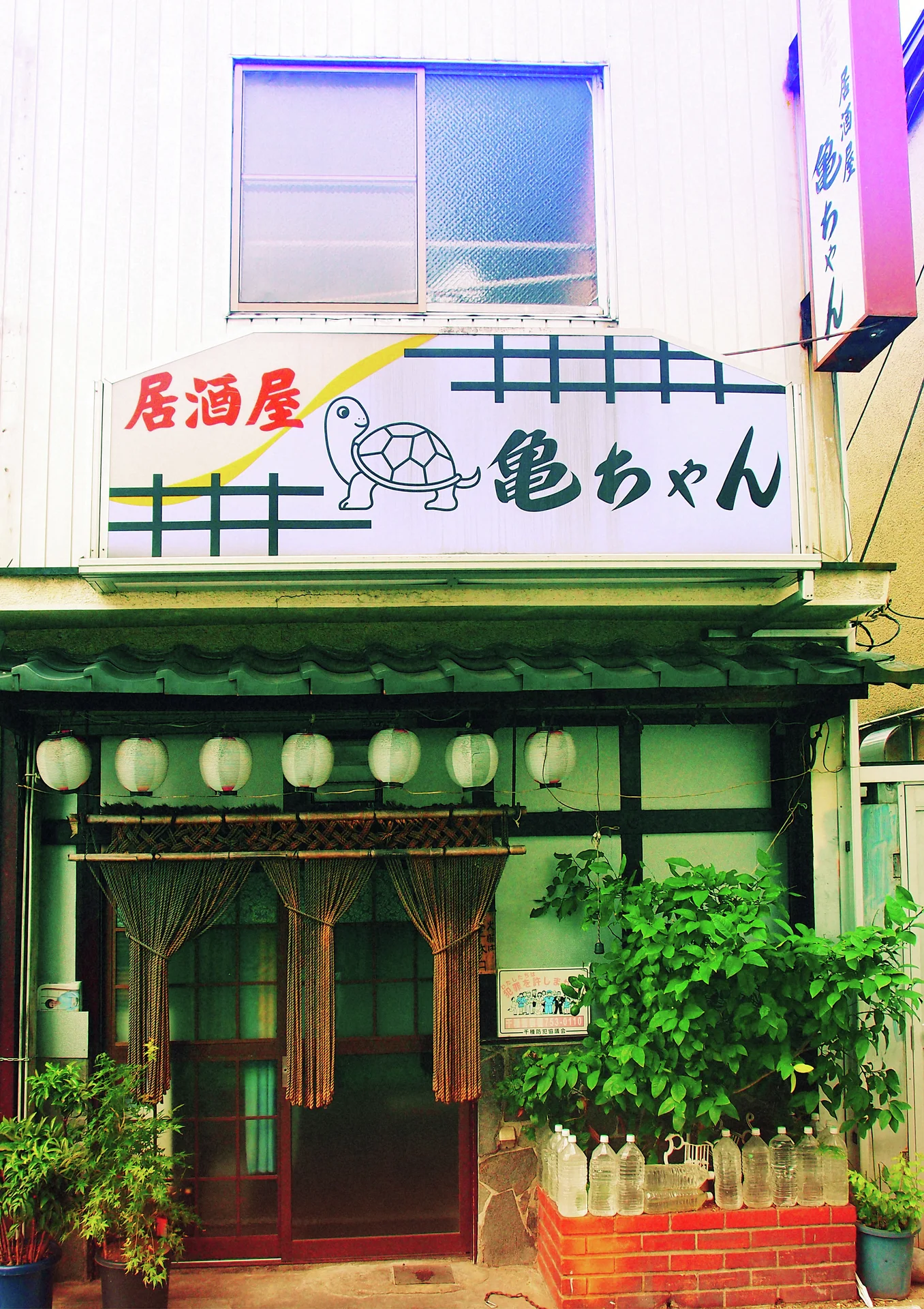 A turtle illustration decorates the sign above a small restaurant entrance framed by plants and lanterns.