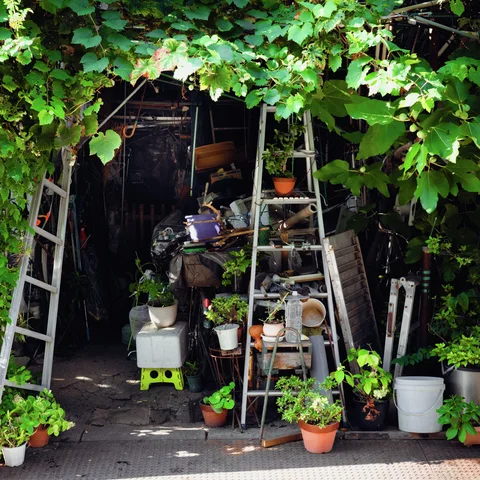 Leafy vines shade a cluttered entrance filled with ladders, stacked objects, and potted plants.