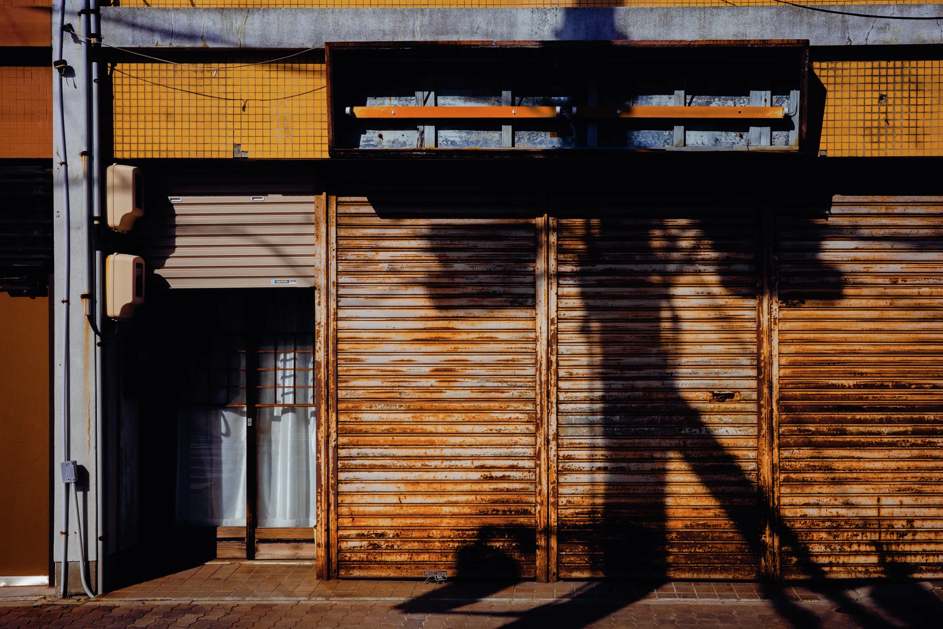 Long branching shadows cross rusty closed storefront shutters beneath dark signs and small yellow tiles.