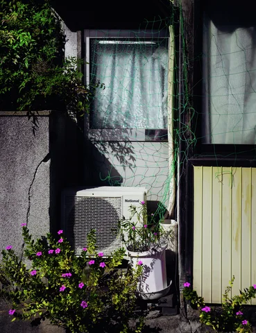 Small purple flowers and potted plants cluster beneath a curtained window beside an outdoor air conditioner.