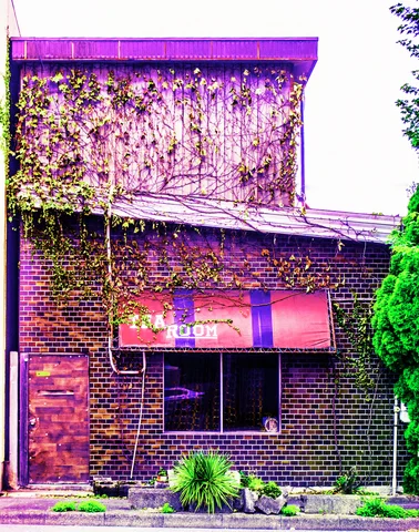 Climbing vines cover a dark brick cafe facade beneath a faded pink awning and tall boarded upper wall.