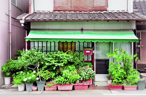 Dense flowering pots surround a small home entrance beneath a green awning and tiled roof.