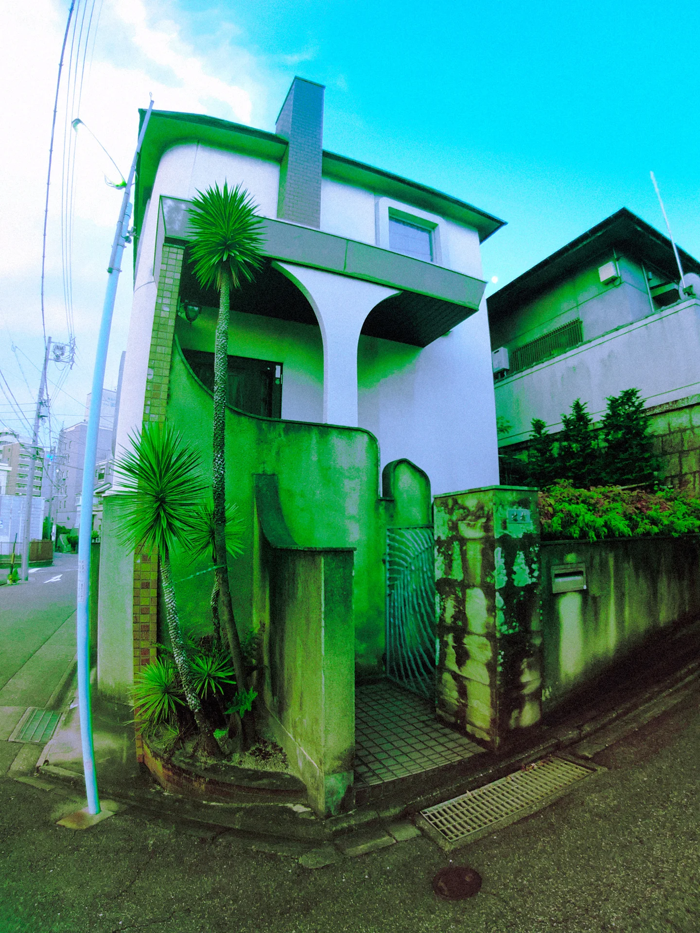 Curved white balcony supports and slender palms rise behind a green gate and stone wall.