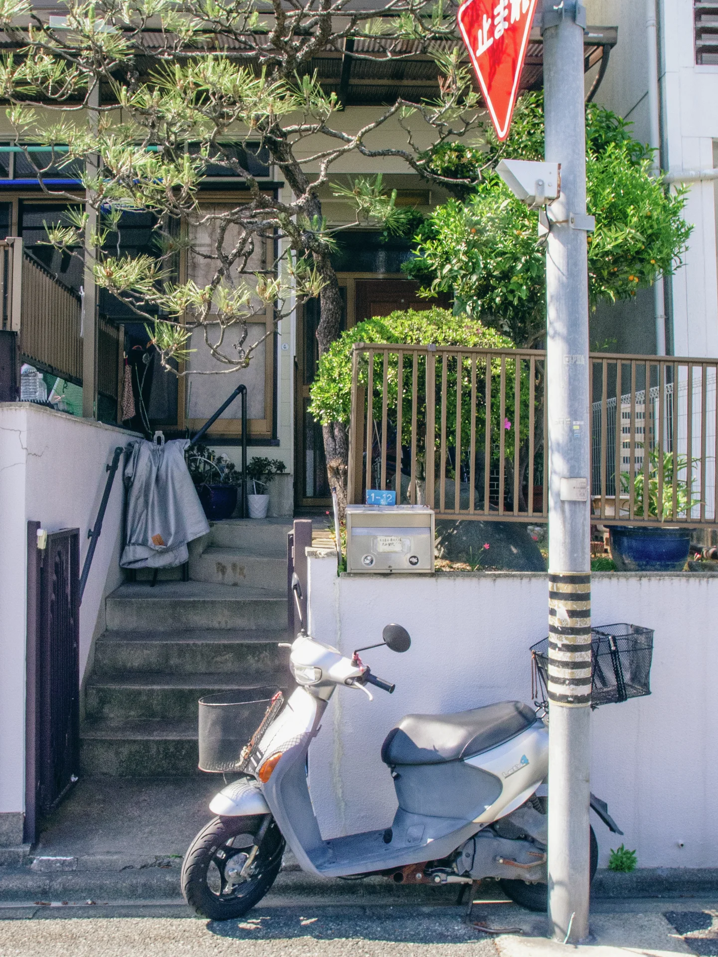 A pale scooter stands beside a utility pole below concrete entrance steps and leafy potted plants.