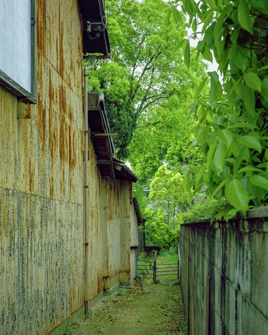 A narrow grassy passage runs between rust-streaked metal siding and a block wall beneath green foliage.