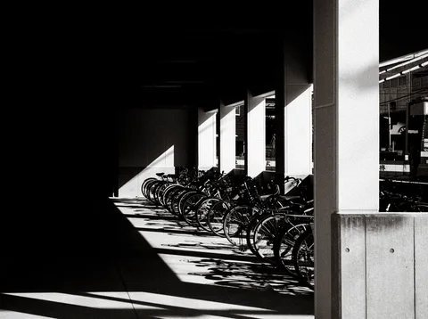 Rows of bicycles cast long shadows between bright concrete pillars inside a dark covered parking area.