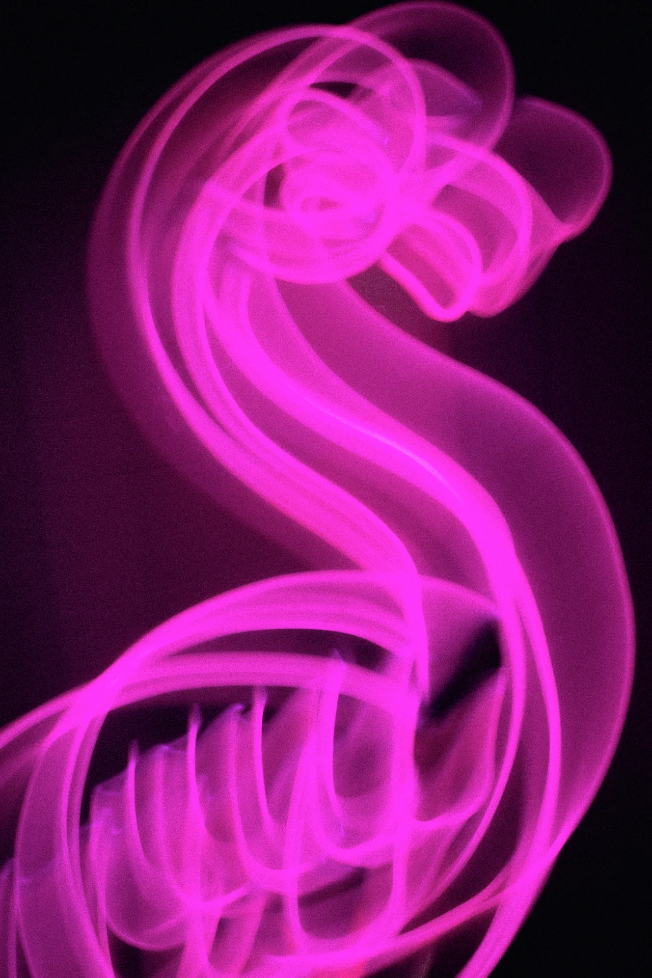 Vivid pink light trails form looping curves against a nearly black background.