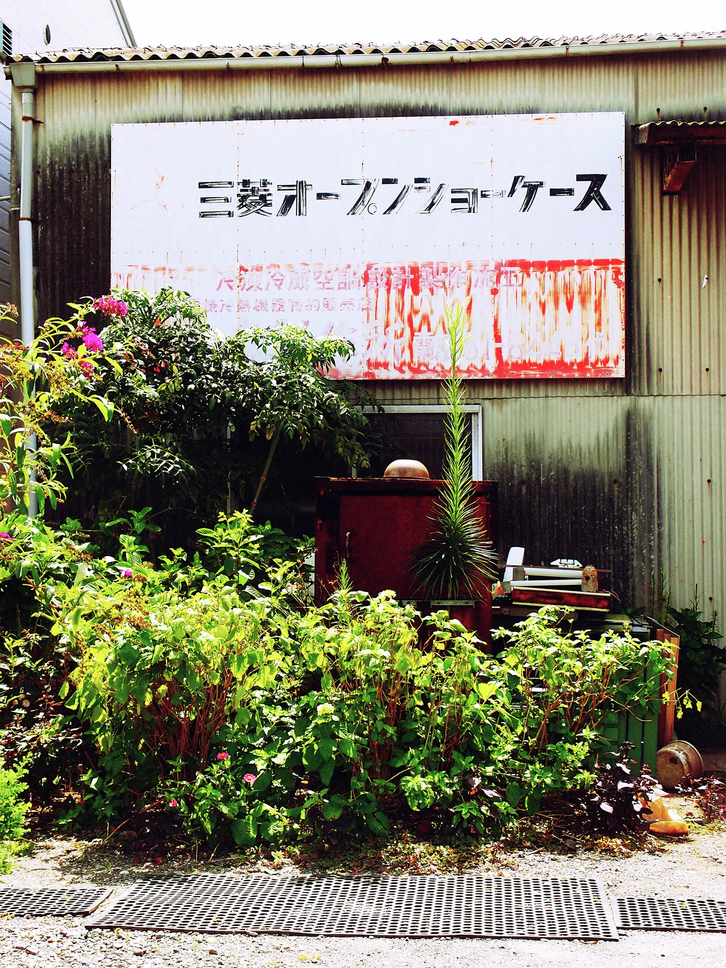 Dense roadside plants obscure a corrugated storefront beneath a faded white sign streaked with red rust.
