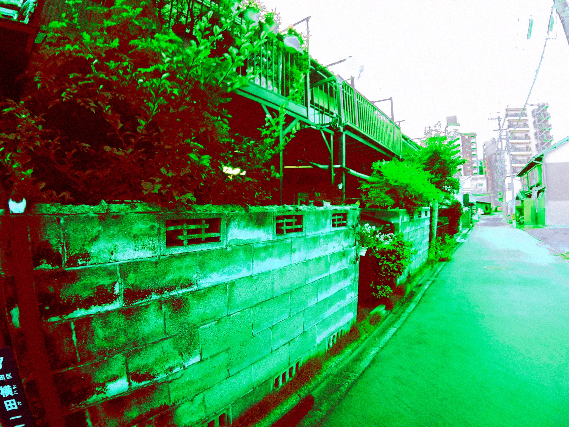 A weathered concrete wall and leafy shrubs border a narrow lane beside exposed green metal framework.