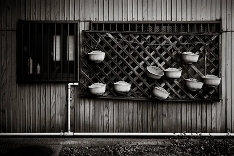 Empty white hanging pots dot a wooden trellis beneath barred windows in black and white.