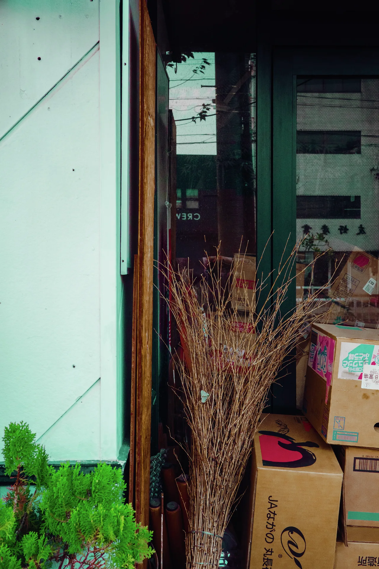 A bundled twig broom leans beside stacked cardboard boxes within a narrow dark shop doorway.