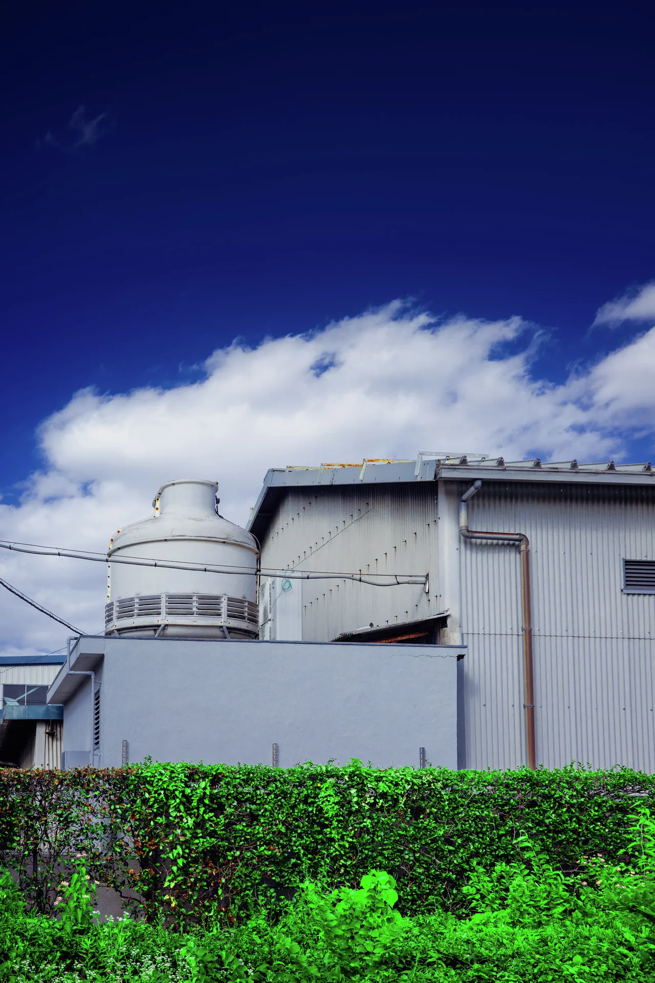 A pale industrial building rises behind bright green hedges beneath white clouds in a deep blue sky.