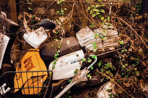 Vines tangle around an old white scooter beside a yellow crate and stacks of weathered material.