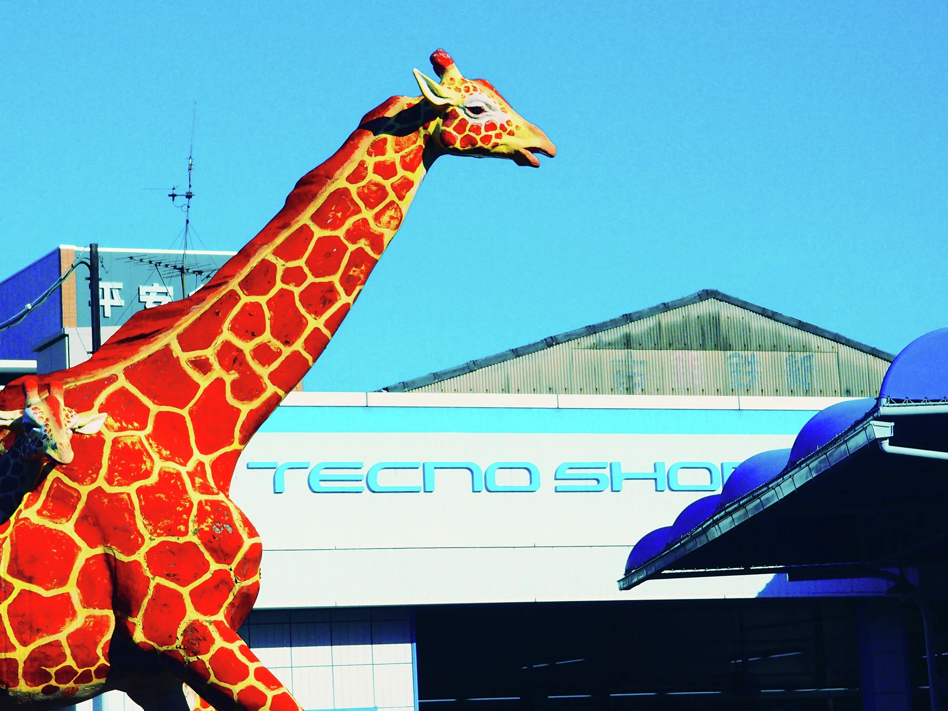 A bright orange giraffe sculpture rises above a blue and white shop facade against clear sky.