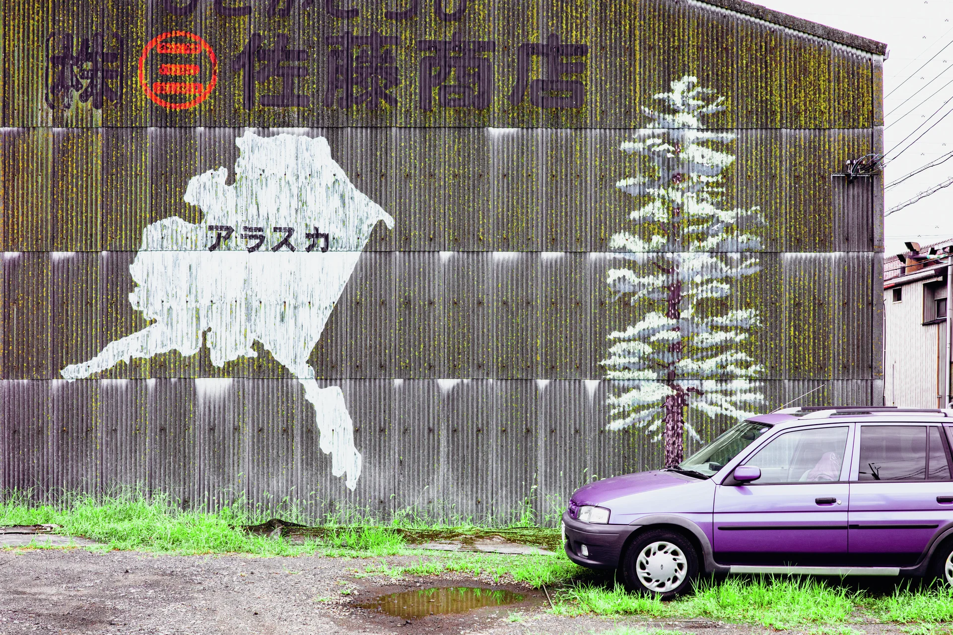 A purple car parks beside a corrugated wall painted with a faded white silhouette and tall tree.