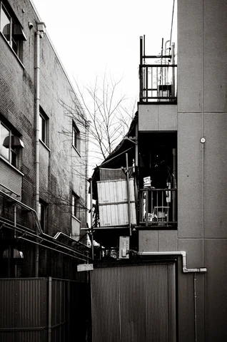 Balconies, pipes, and bare branches crowd a narrow gap between tall buildings in black and white.