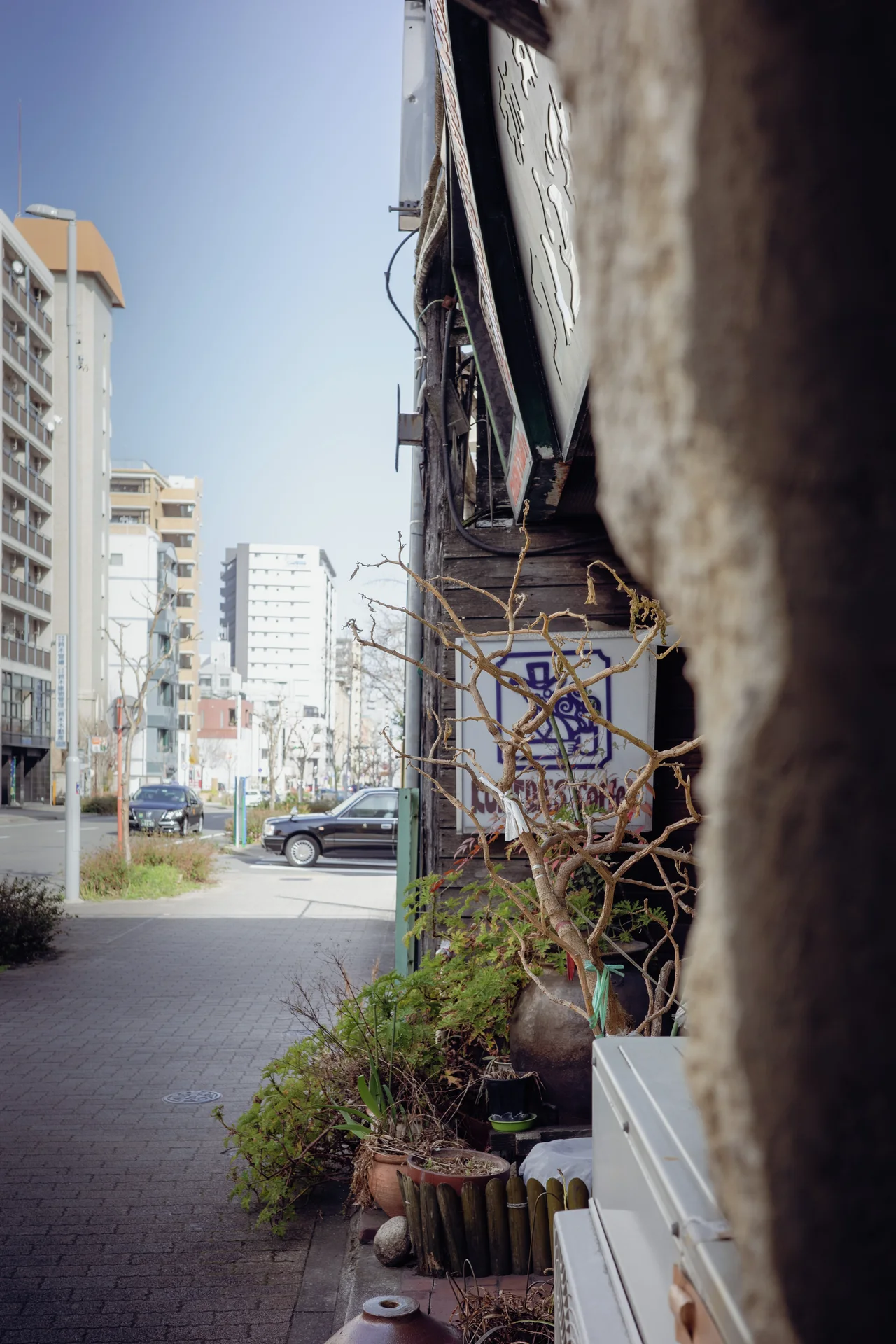 Potted plants and a projecting sign line an older building beside a street facing tall apartment blocks.