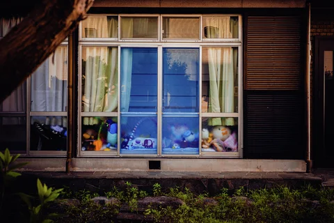 Stuffed toys line the bottom of a large curtained window with a blue central reflection.