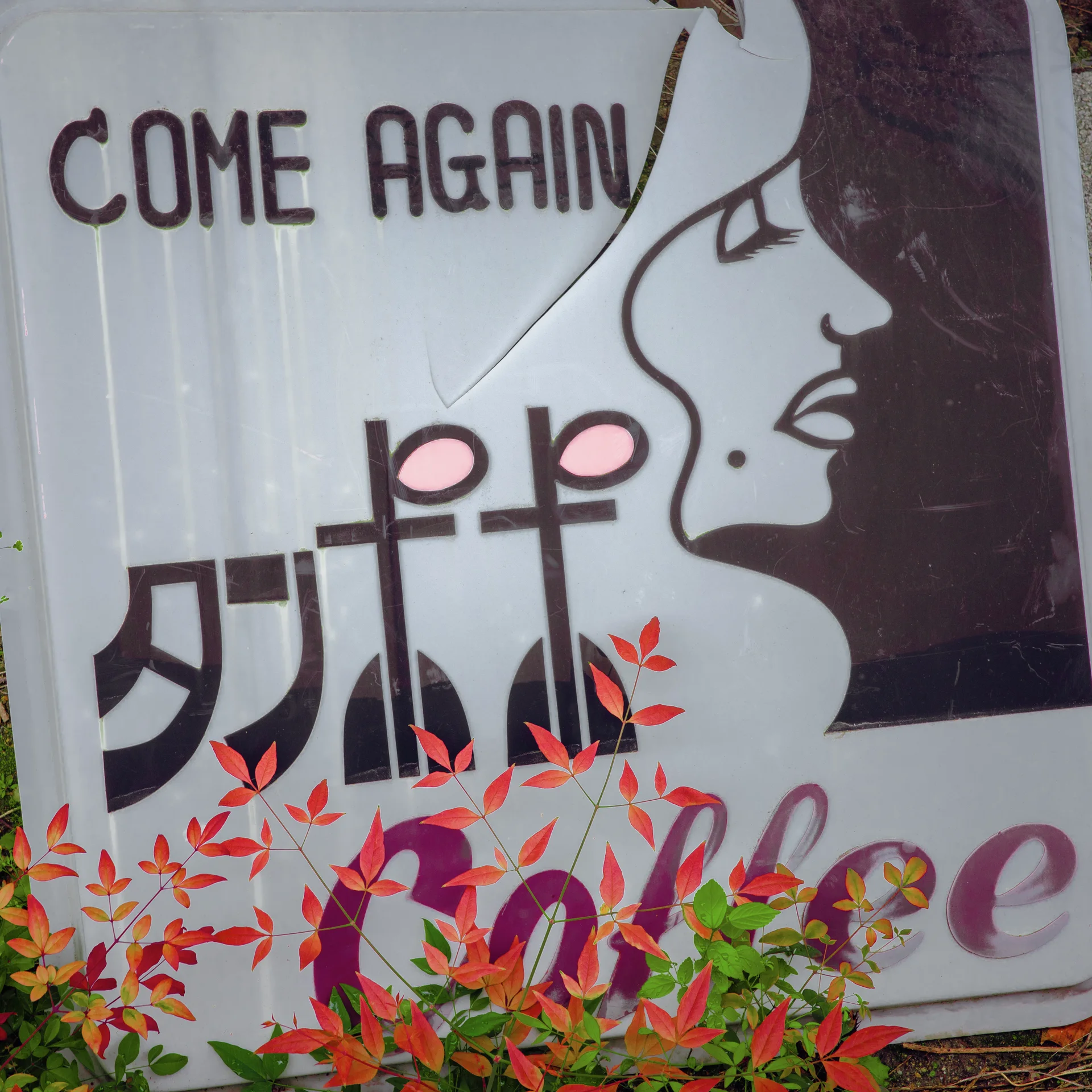 A woman's profile decorates a coffee sign with COME AGAIN lettering behind bright red and green leaves.