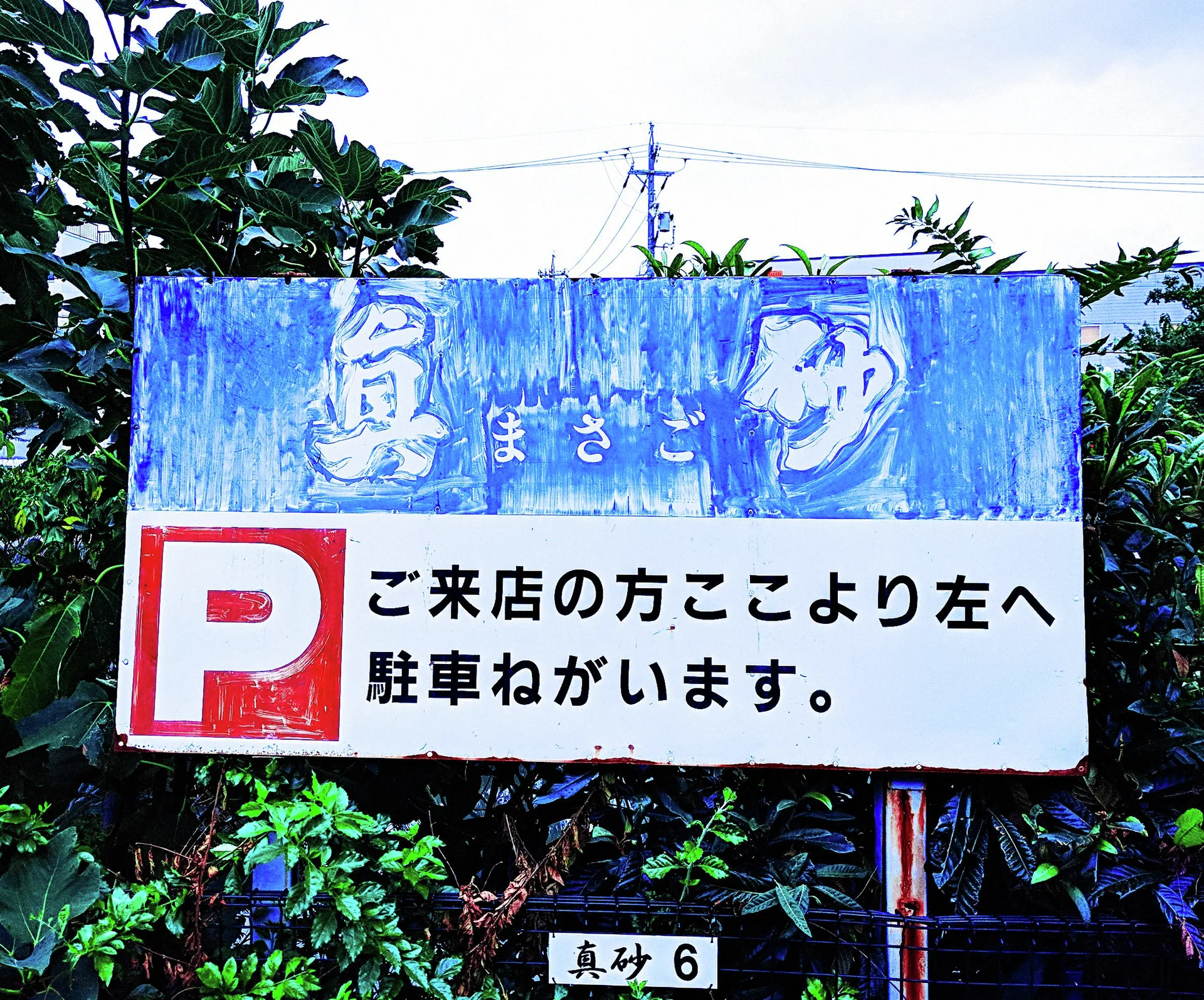 A weathered blue and white parking sign stands among dense shrubs with bold red and black markings.