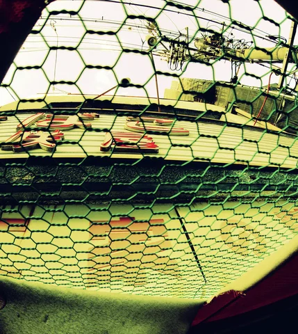 Hexagonal wire mesh covers a curved window reflecting buildings and utility wires in green and yellow tones.