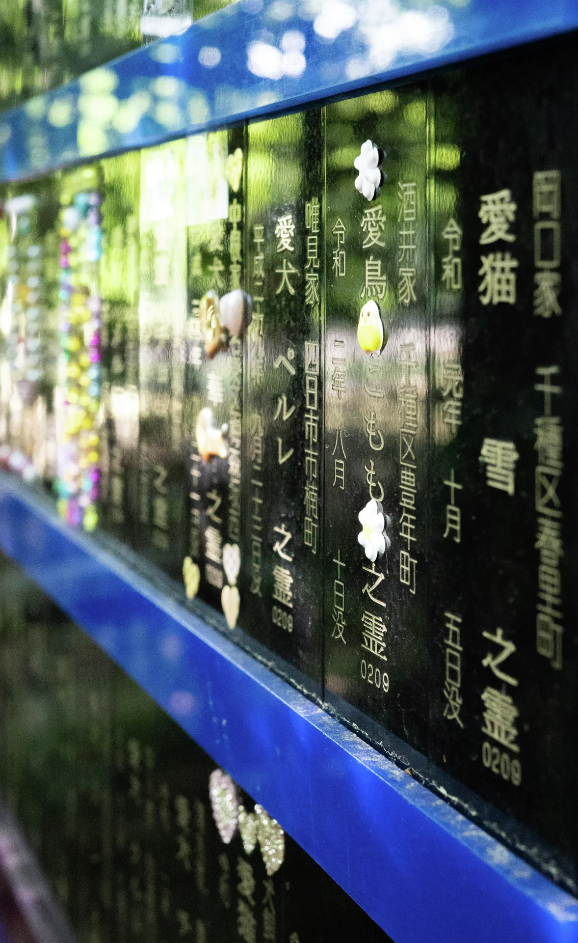 Gold Japanese inscriptions line glossy dark memorial panels bordered by blue trim and reflected trees.