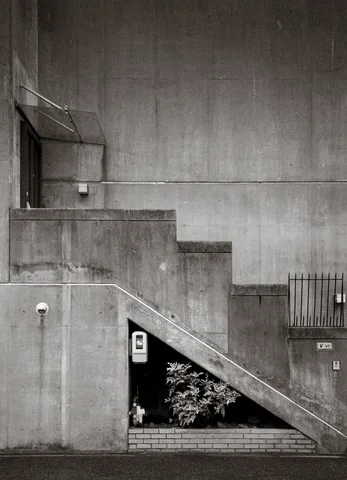 A concrete exterior staircase crosses a plain wall above a triangular planting recess in black and white.