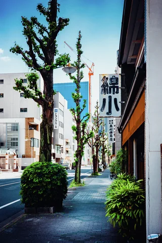 Pruned trees and rounded shrubs line a sunny sidewalk beside storefronts and projecting Japanese signs.