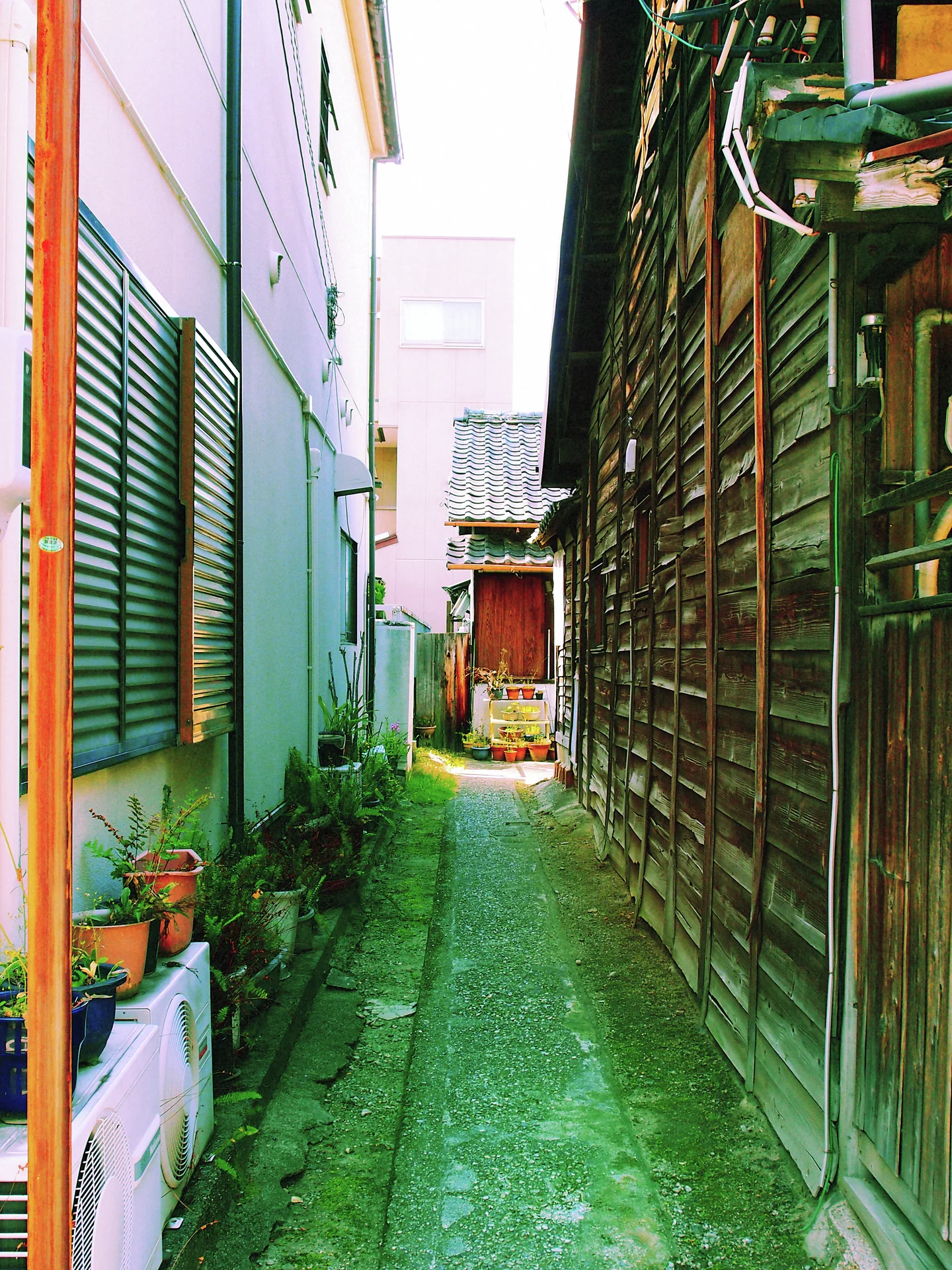 A narrow green-toned alley runs between a pale shuttered building and dark wooden siding.