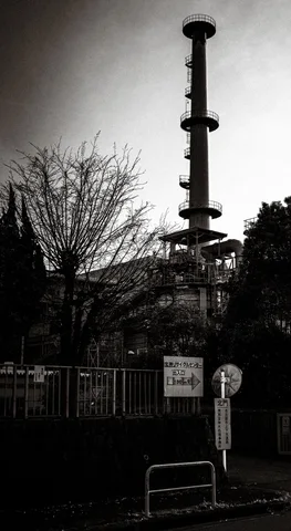 A tall pole with circular platforms rises above bare trees and a fence in black and white.