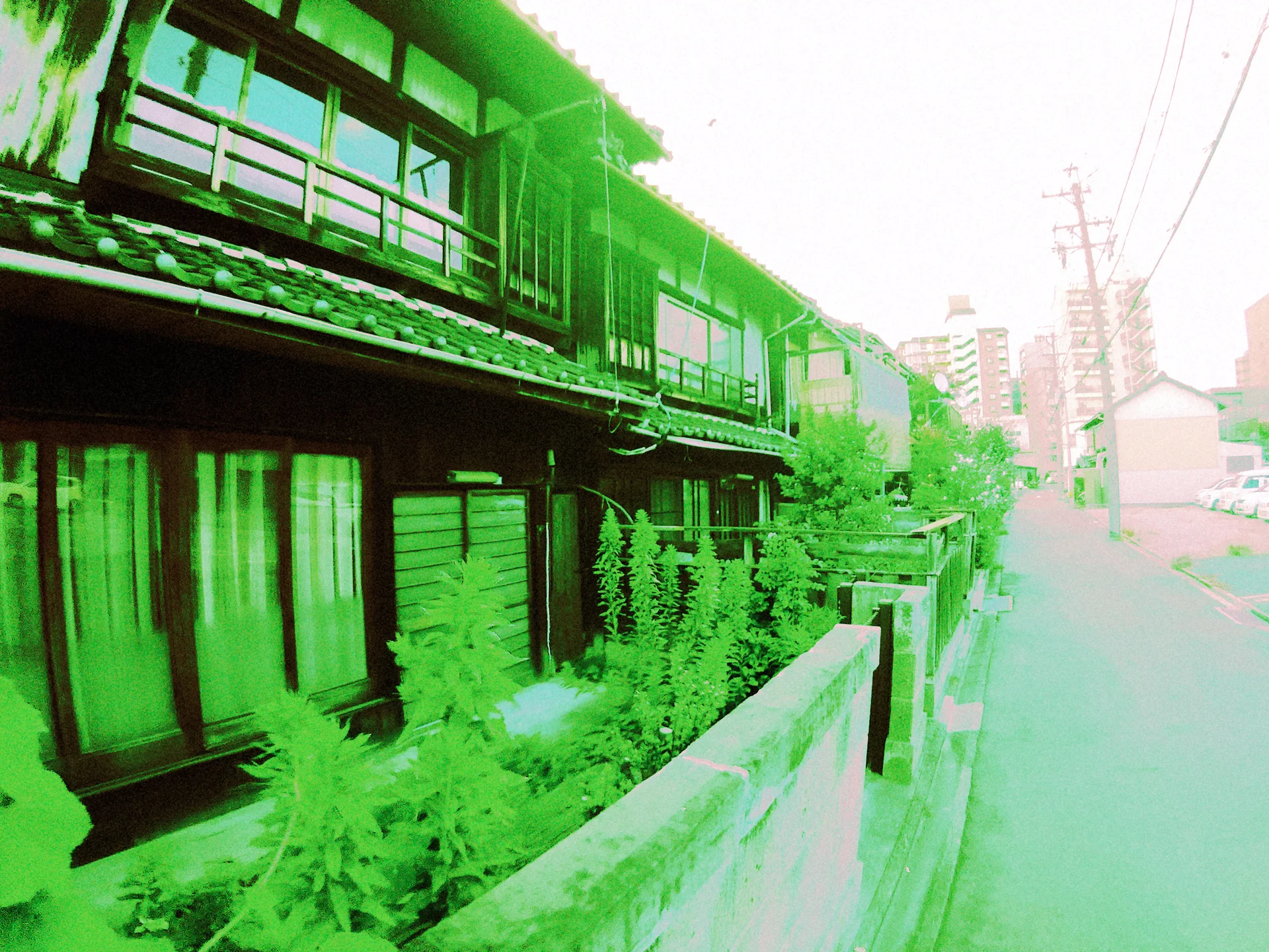 A long wooden house with upper balconies and tiled eaves borders dense plants behind a low wall.