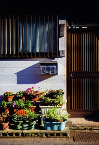 Potted flowers cluster beneath a barred window and wall-mounted mailbox beside a dark slatted entrance door.
