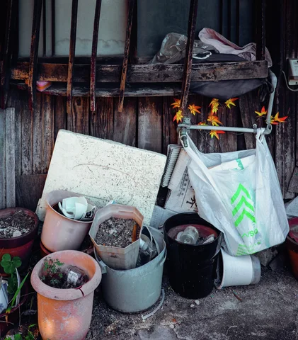 Assorted plant pots and a hanging white bag cluster beneath a rusty window grille and small orange flowers.