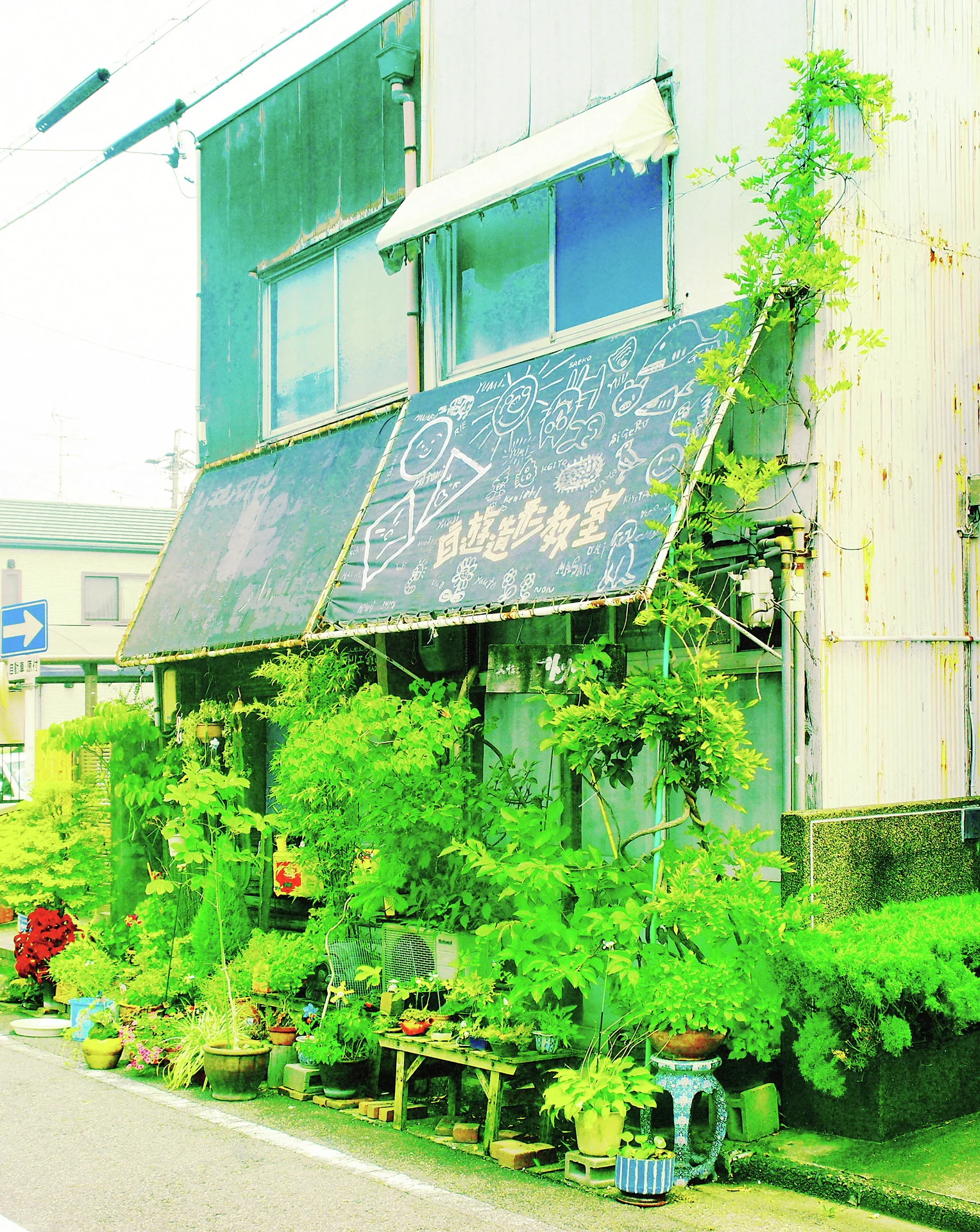 Dense potted greenery surrounds a storefront beneath a sloping dark signboard with a geometric white symbol.