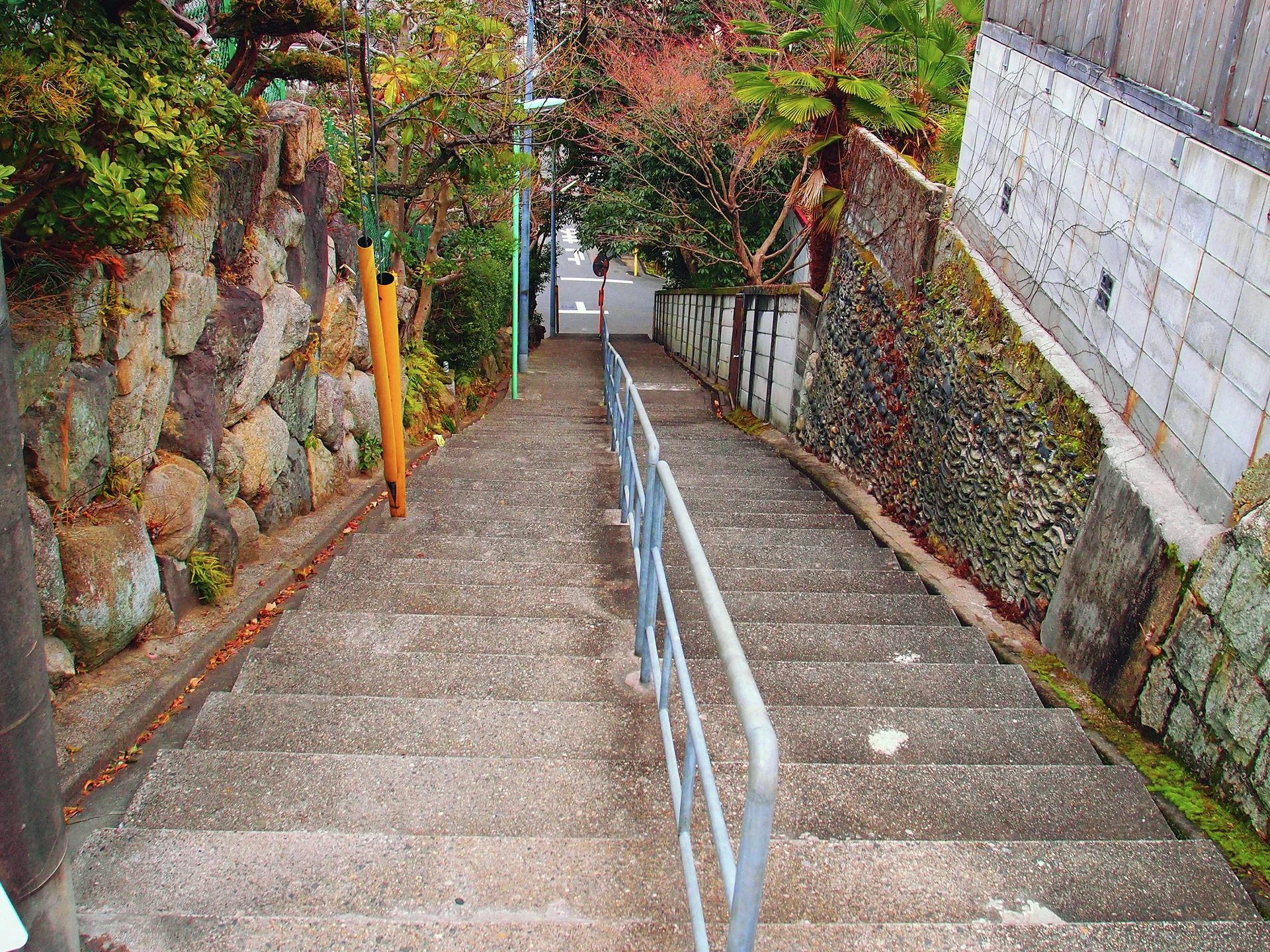 A long concrete staircase descends between stone retaining walls with a pale central handrail and overhanging trees.