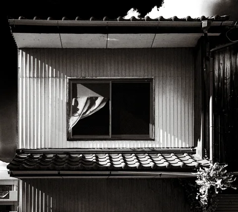A loose curtain protrudes through a dark window above tiled eaves on corrugated siding in black and white.