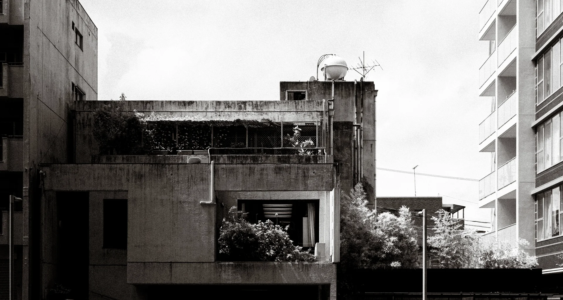 Trees and shrubs grow across terraces of a weathered concrete building beside taller apartments in black and white.