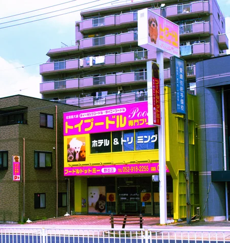 Bright pink and yellow signs cover a low storefront beneath taller apartment balconies.